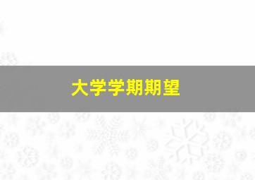 大学学期期望