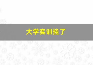 大学实训挂了