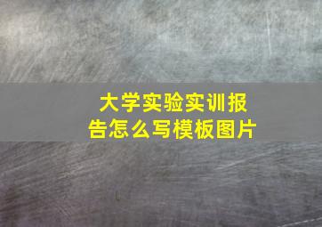 大学实验实训报告怎么写模板图片