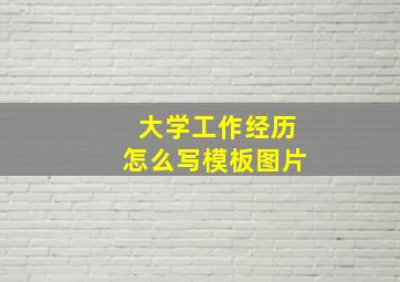 大学工作经历怎么写模板图片