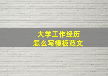 大学工作经历怎么写模板范文