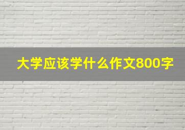 大学应该学什么作文800字