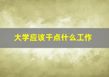 大学应该干点什么工作