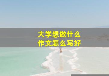 大学想做什么作文怎么写好