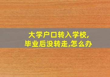 大学户口转入学校,毕业后没转走,怎么办