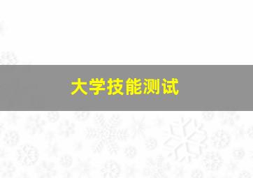 大学技能测试