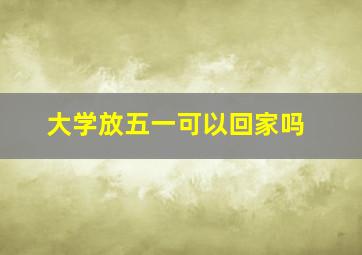 大学放五一可以回家吗