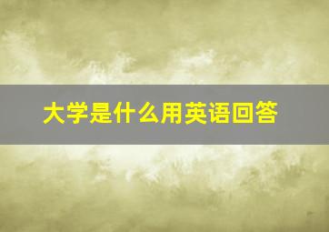 大学是什么用英语回答