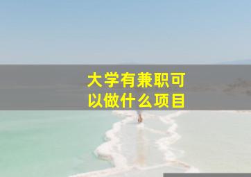 大学有兼职可以做什么项目