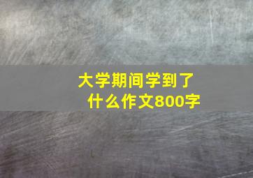 大学期间学到了什么作文800字