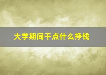 大学期间干点什么挣钱