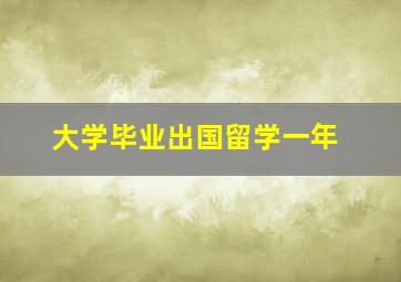 大学毕业出国留学一年