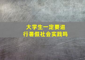 大学生一定要进行暑假社会实践吗