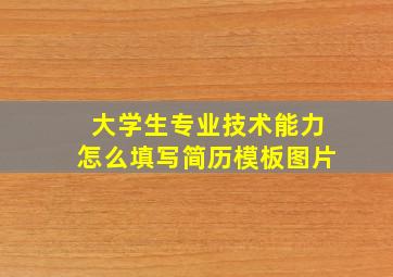 大学生专业技术能力怎么填写简历模板图片