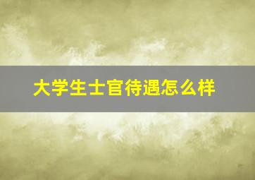 大学生士官待遇怎么样