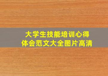 大学生技能培训心得体会范文大全图片高清