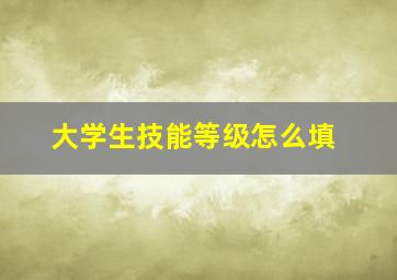 大学生技能等级怎么填