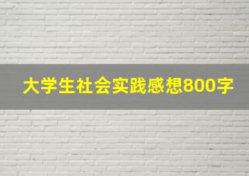 大学生社会实践感想800字