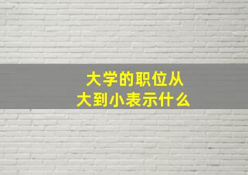 大学的职位从大到小表示什么