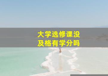 大学选修课没及格有学分吗