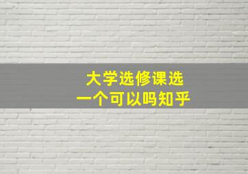 大学选修课选一个可以吗知乎