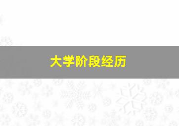 大学阶段经历