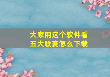 大家用这个软件看五大联赛怎么下载