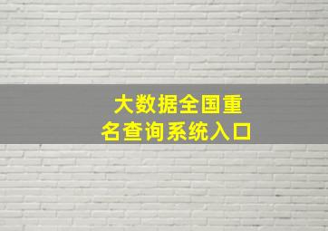 大数据全国重名查询系统入口