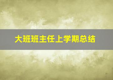 大班班主任上学期总结