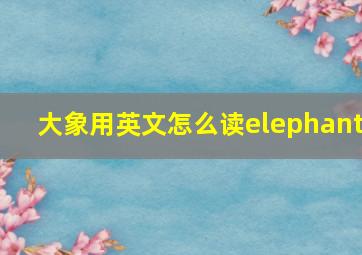 大象用英文怎么读elephant