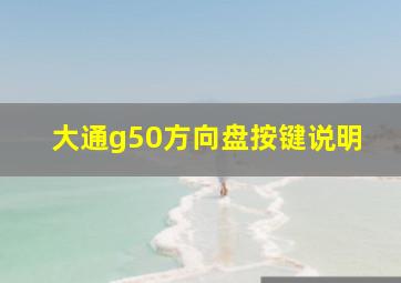 大通g50方向盘按键说明