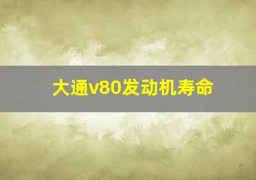 大通v80发动机寿命