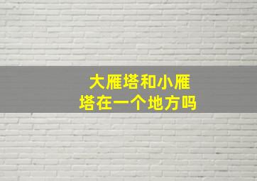 大雁塔和小雁塔在一个地方吗