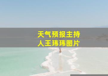 天气预报主持人王玮玮图片