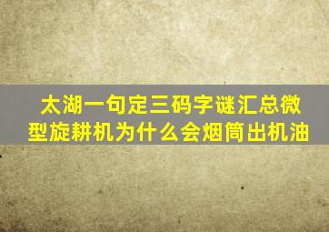 太湖一句定三码字谜汇总微型旋耕机为什么会烟筒出机油