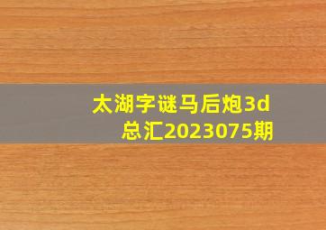 太湖字谜马后炮3d总汇2023075期