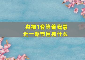 央视1套等着我最近一期节目是什么