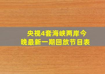 央视4套海峡两岸今晚最新一期回放节目表