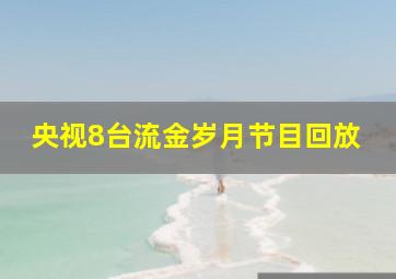 央视8台流金岁月节目回放