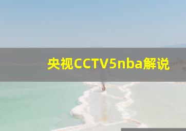 央视CCTV5nba解说