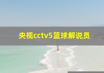 央视cctv5篮球解说员