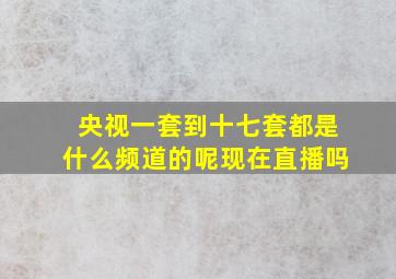 央视一套到十七套都是什么频道的呢现在直播吗