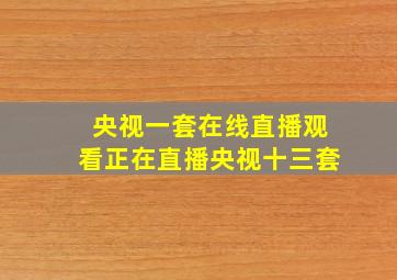 央视一套在线直播观看正在直播央视十三套