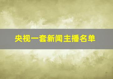 央视一套新闻主播名单