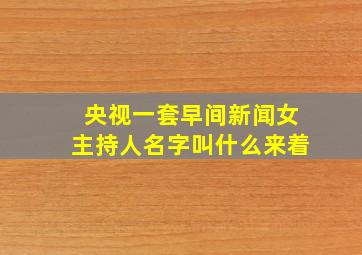 央视一套早间新闻女主持人名字叫什么来着