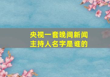 央视一套晚间新闻主持人名字是谁的