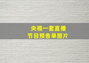 央视一套直播节目预告单图片