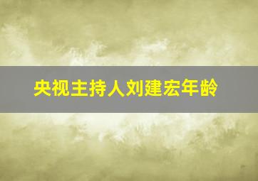 央视主持人刘建宏年龄