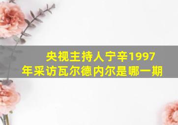 央视主持人宁辛1997年采访瓦尔德内尔是哪一期