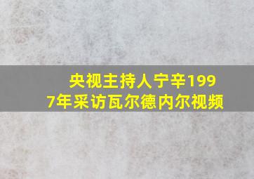 央视主持人宁辛1997年采访瓦尔德内尔视频